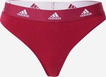 Pantaloncini intimi sportivi di ADIDAS SPORTSWEAR in rosso: frontale