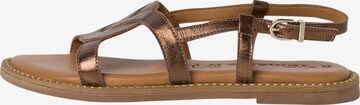 TAMARIS Sandalen met riem in Bruin