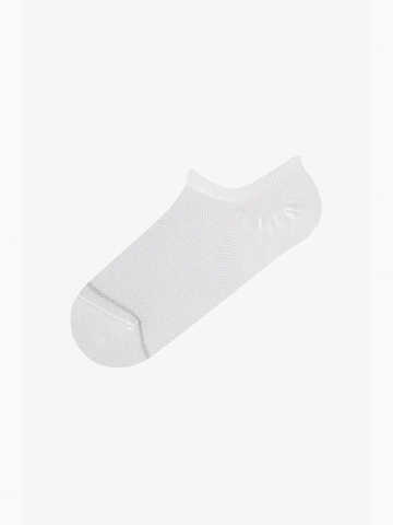 Penti Sukapöiad 'PENTI Basic Mesh Baumwoll-Lurex Sneaker-Socken Paar', värv valge
