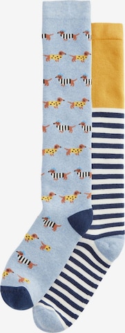 mėlyna Next Kojinės: priekis