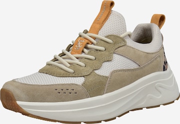 SALAMANDER Sneakers in Beige: front