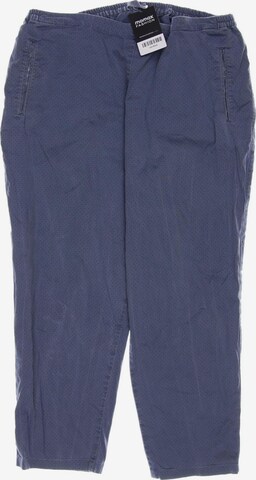 Elemente Clemente Pants in XL in Blue: front