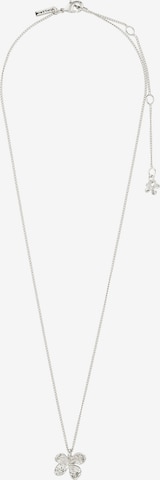 PilgrimLančić 'Ajani' - srebro boja: prednji dio