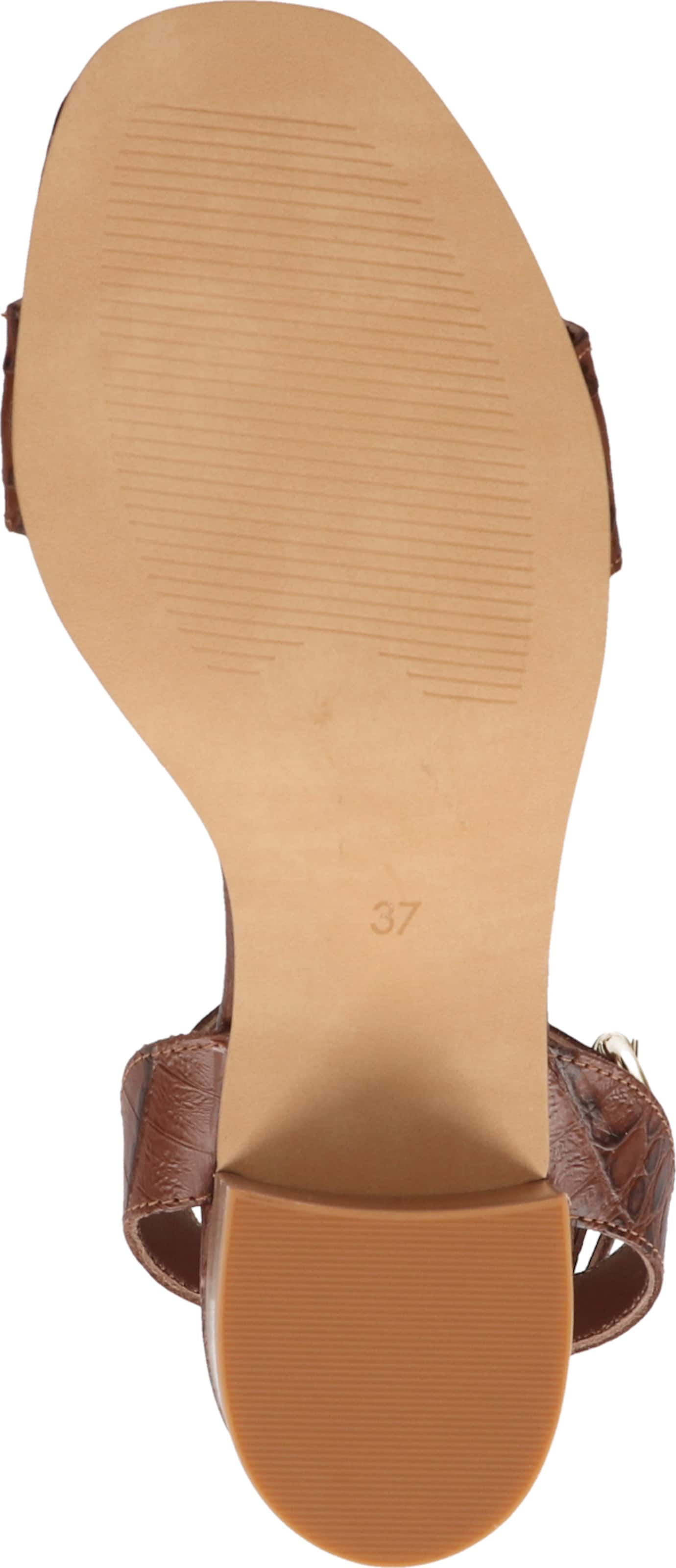 Sandalo con cinturino di MEXX in marrone