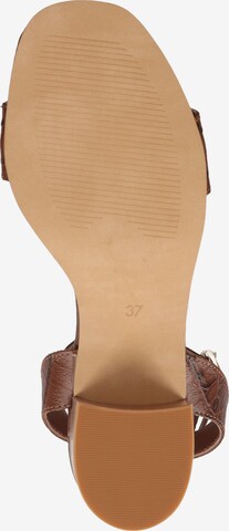 MEXX Strap Sandals in Brown