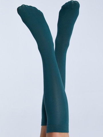 Albero Natur Knee High Socks in Green
