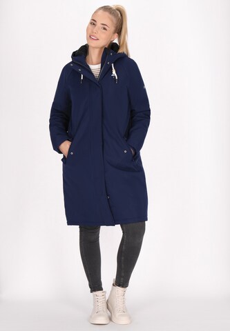 mėlyna Schmuddelwedda Žieminė parka