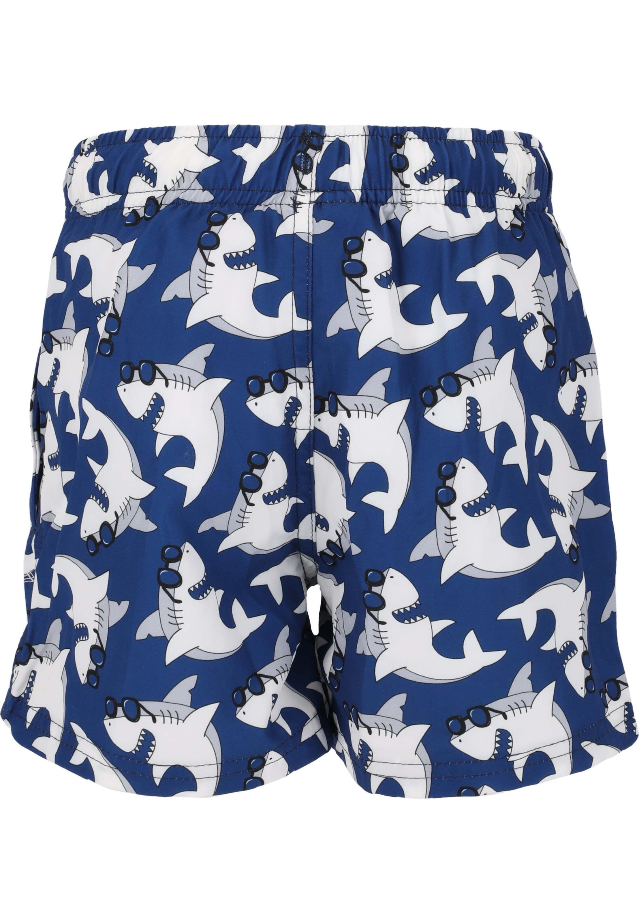 ZigZag Board Shorts 'Ruben' in Blue