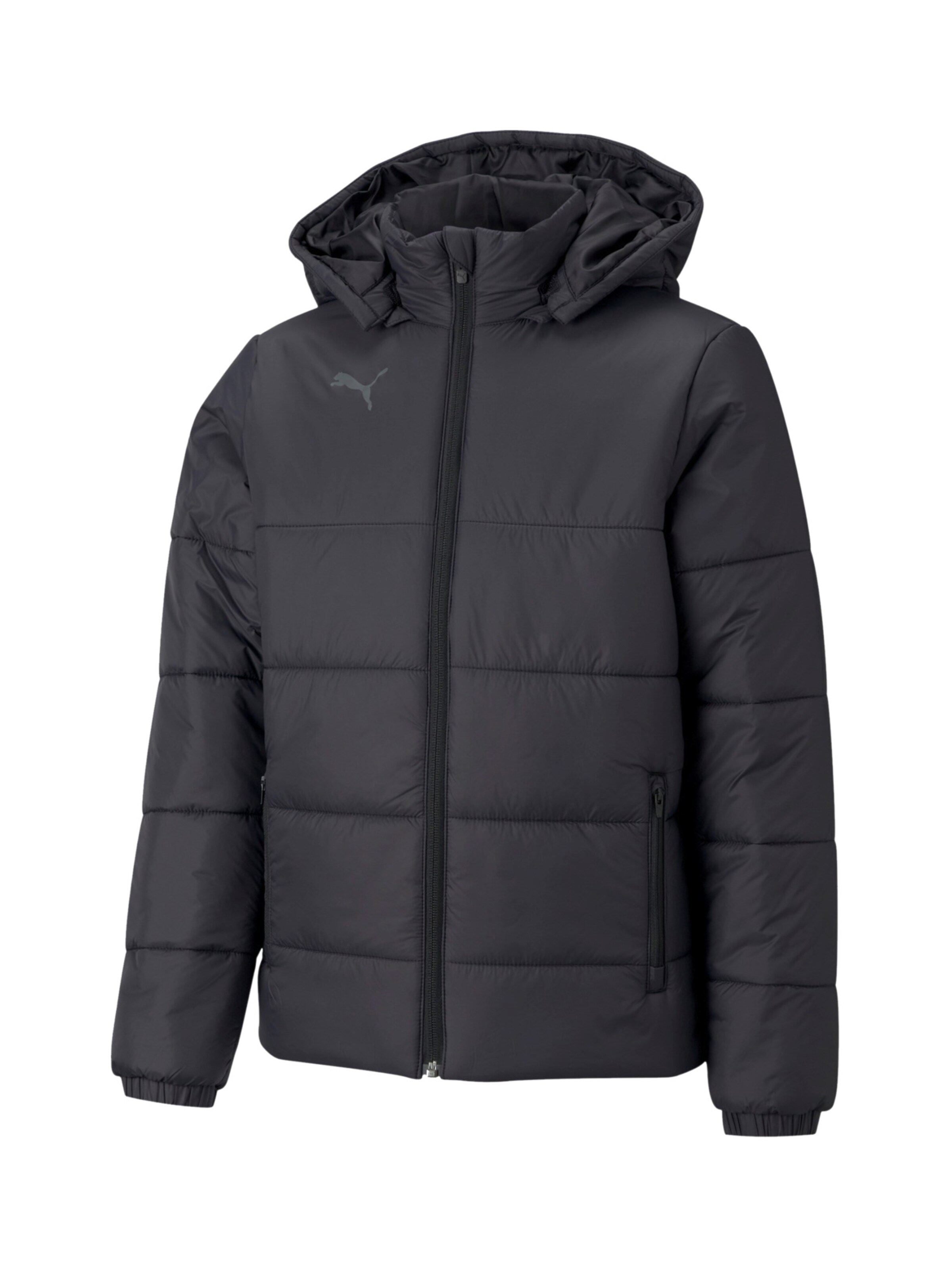 Veste de sport 'TeamLiga' PUMA en noir : devant