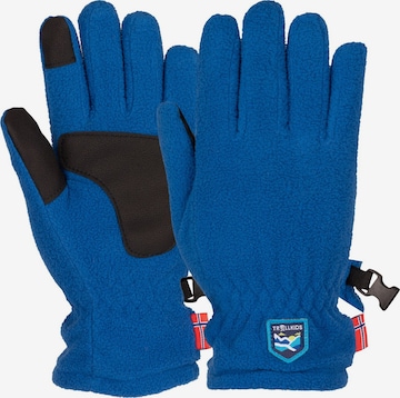 TROLLKIDS Gloves in Blue: front