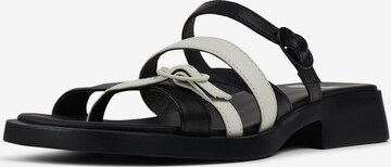 CAMPER Mules 'Dana' in Black: front