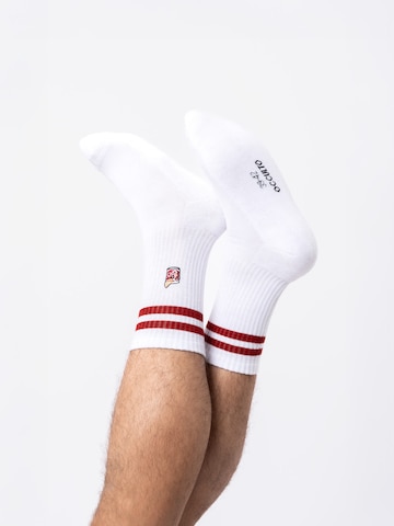 Occulto Athletic Socks 'Summer' in White