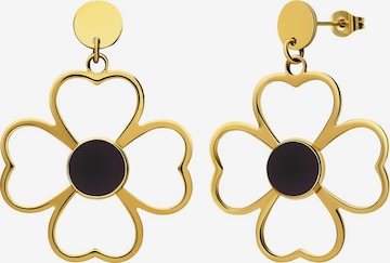 Lucardi Oorbellen in Goud: voorkant