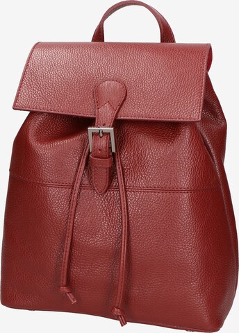 Gave Lux Backpack in Red: front