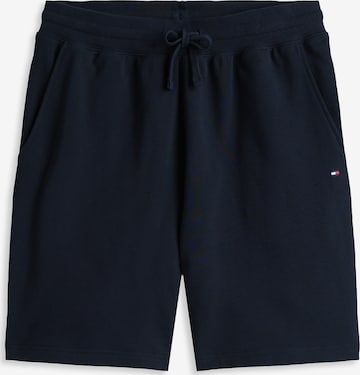 TOMMY HILFIGER Штаны 'ESSENTIAL' в Синий: спереди