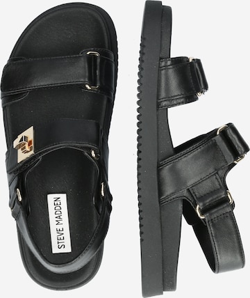 STEVE MADDEN Sandal 'MONA' i svart