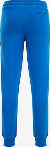 WE Fashion Regular Broek in Blauw