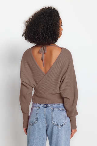 Trendyol Pulover | rjava barva