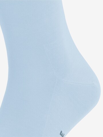 FALKE Socks 'Tiago' in Blue