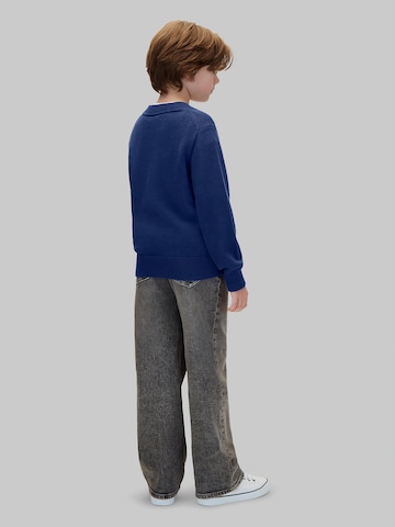 Calvin Klein Jeans Pullover in Blau