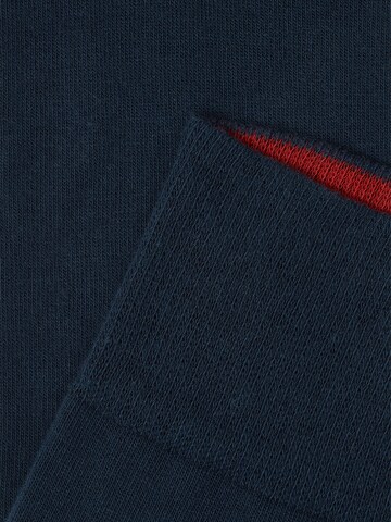Von Jungfeld Socks 'Signature Innenbund' in Blue
