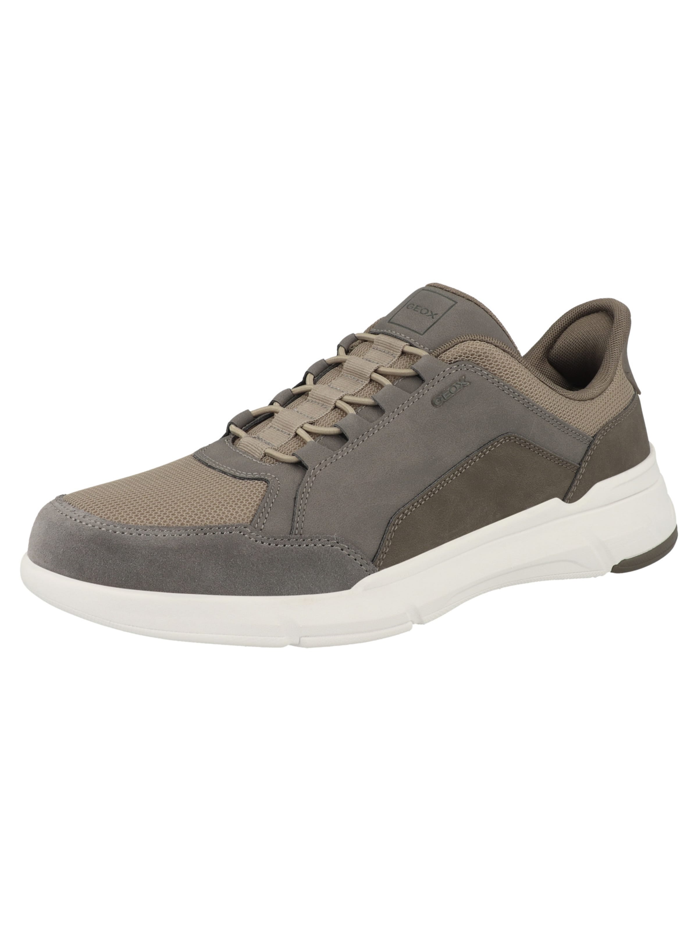 Baskets basses 'Plus A' GEOX en gris : devant