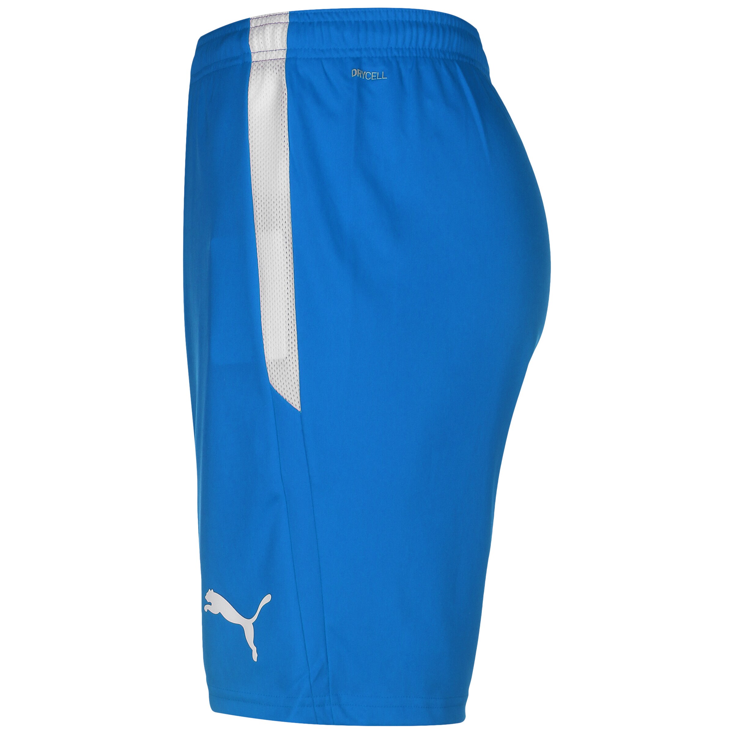 PUMA Regular Workout Pants 'TeamLIGA' in Blue