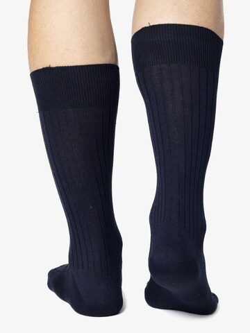 Ciocca Socks in Blue