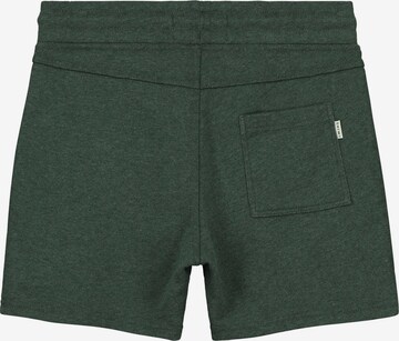 Regular Pantalon Shiwi en vert