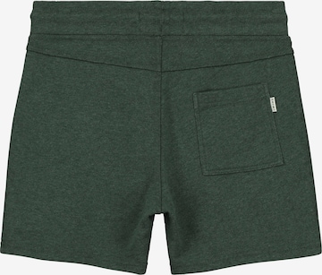 regular Pantaloni di Shiwi in verde