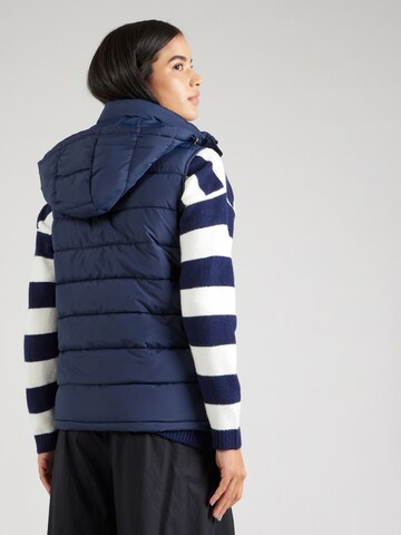 Gilet di 19V69 ITALIA in blu