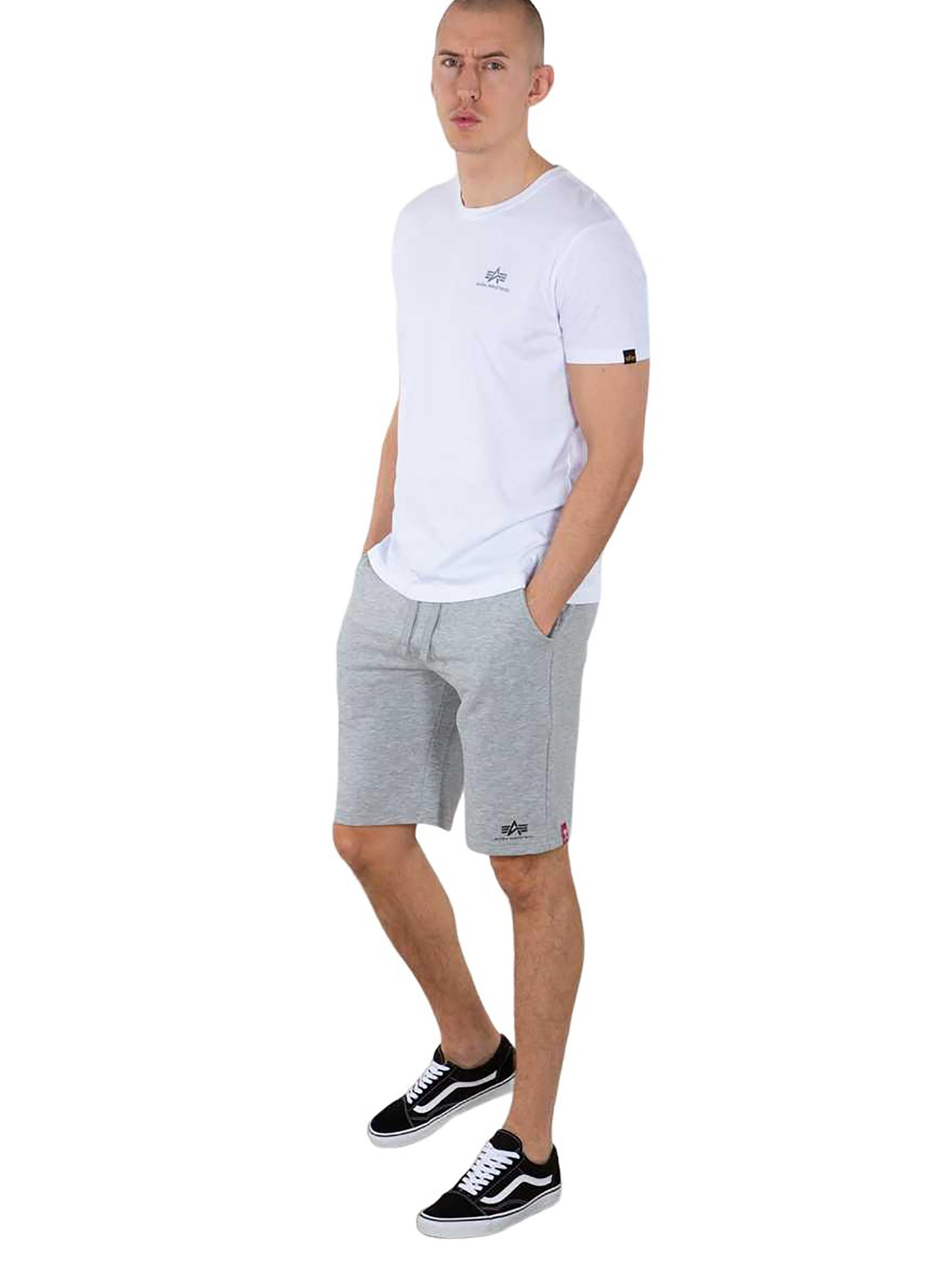 ALPHA INDUSTRIES Regular Hose 'SL'‌ in Grau