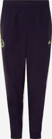 FC BAYERN MÜNCHEN Regular Workout Pants 'Icon ' in Mixed colors: front