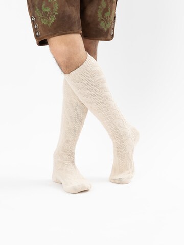 HerzSticht Trachtensocken 'Bergdistel' in Beige