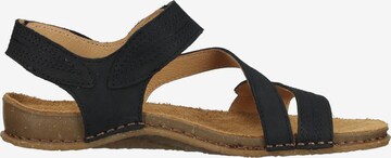 EL NATURALISTA Strap Sandals in Black