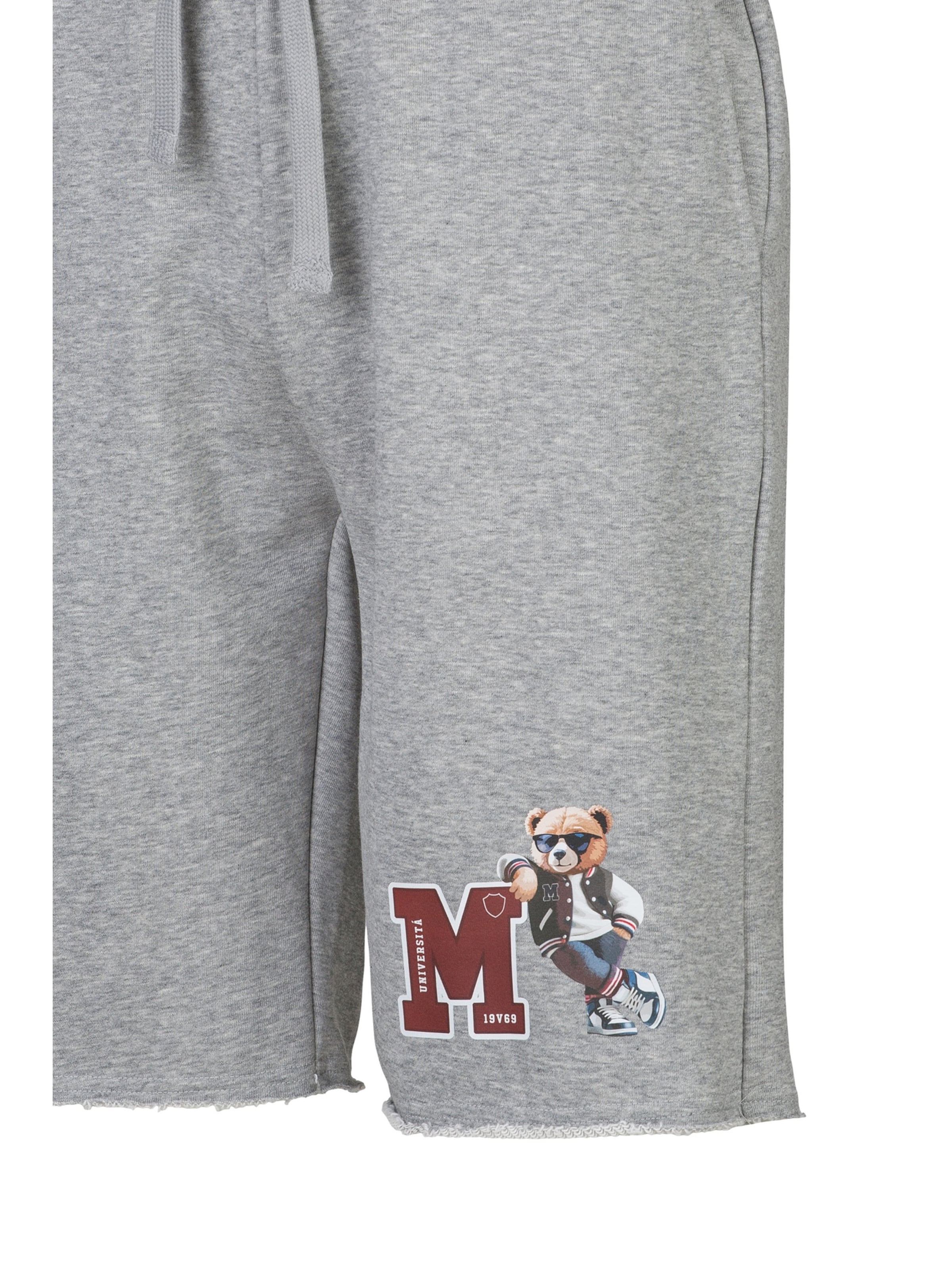 19V69 ITALIA Обычный Штаны 'Meo College' в Серый