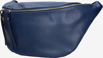 Gave Lux Shoulder Bag 'Caelia Plus' in Blue: front