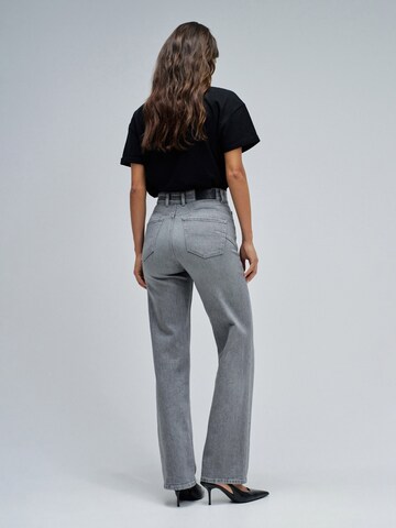 Salsa Jeans Skinny Jeans 'Faith' in Grijs