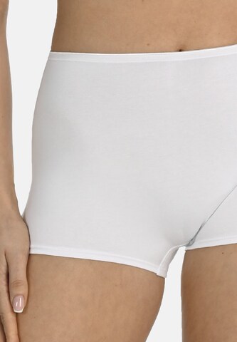 TEYLI Spodnje hlače 'Andreaa' | bela barva