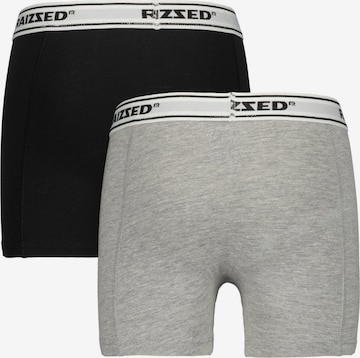 Pantaloncini intimi di Raizzed in grigio