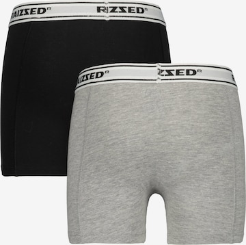 Raizzed Boxershorts in Grau