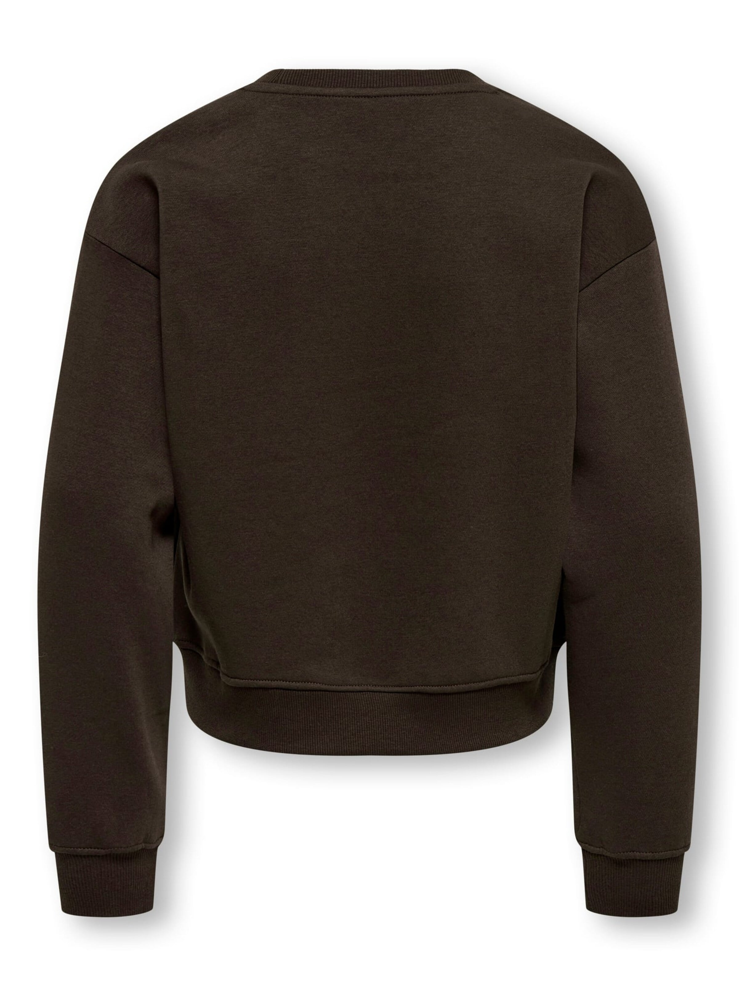 ONLY Sweatshirt 'Sweat' in Brown