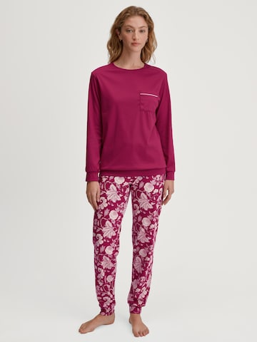 CALIDA Pajama 'Sweet Dreams' in Purple