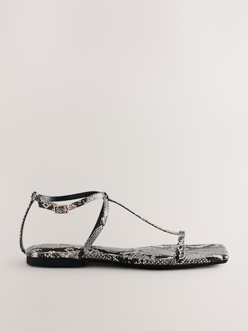 Next - Sandalias con hebilla 'Forever Comfort' en gris