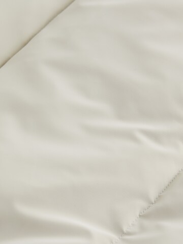Veste d’hiver 'SOFT TOUCH' Calvin Klein Jeans en blanc