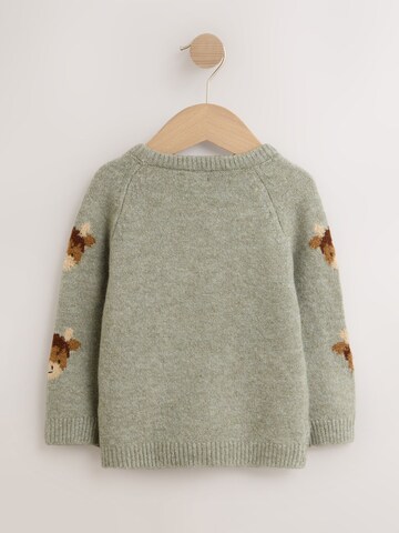 Pull-over Next en vert