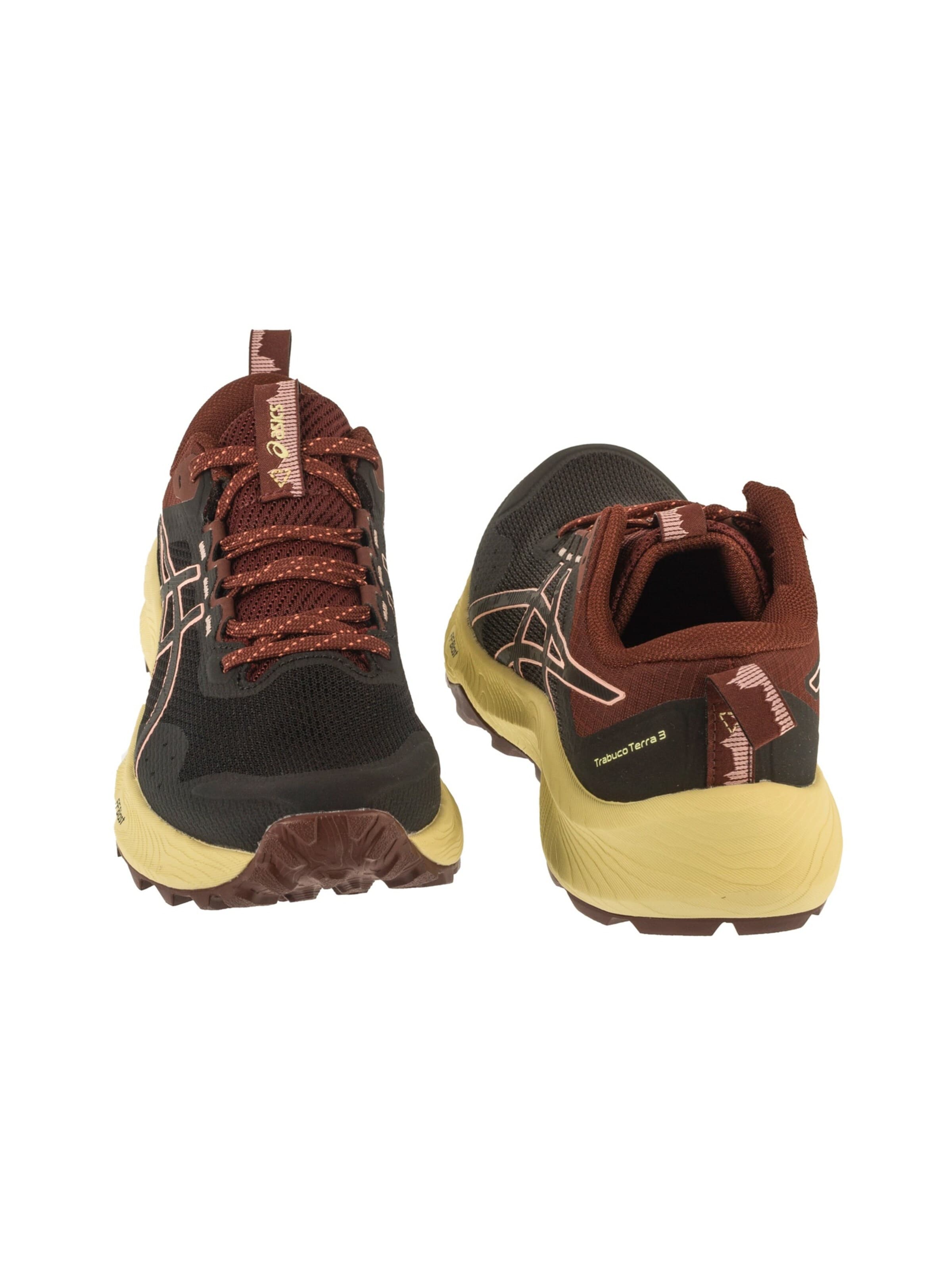 ASICS Loopschoen 'Trabuco Terra 3' in Bruin