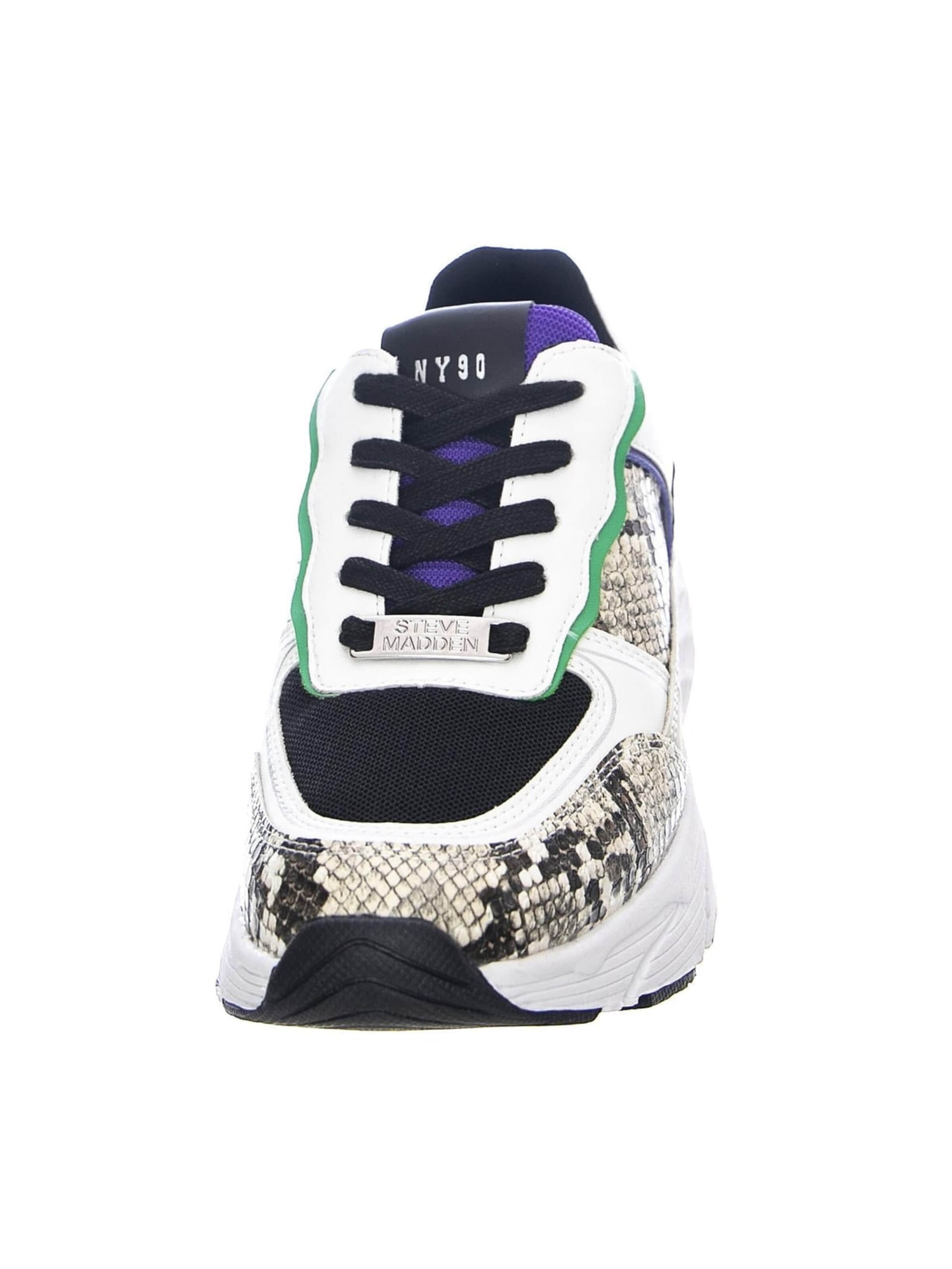 STEVE MADDEN Buty sportowe sznurowane 'Francey Shoes' w kolorze mieszane kolory