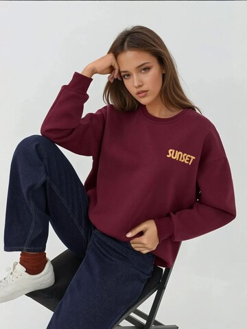 Sweat-shirt 'Sweatshirts' Hiccup en rouge