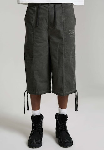 Loosefit Pantalon cargo 'Flying Phoenix' Ed Hardy en bleu : devant